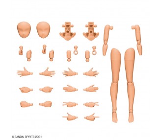 Set Partes Cuerpo Brazos y Piernas 30MS Color C