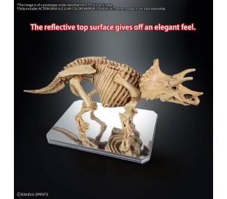 Base Exhibicion Action Base 6 Transparente con Pegatinas Espejo