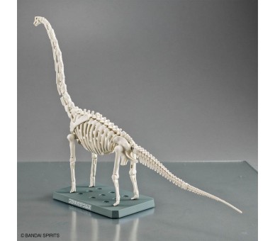 Maqueta Plannosaurus Brachiosaurus