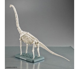 Maqueta Plannosaurus Brachiosaurus