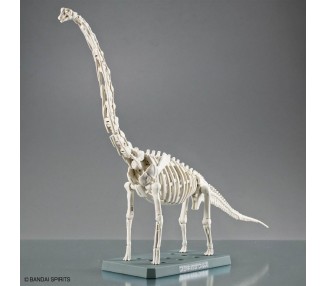 Maqueta Plannosaurus Brachiosaurus