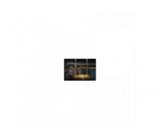 Varitas Harry Potter Gemelos Weasley