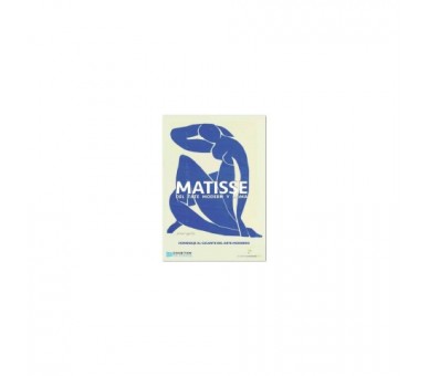 Matisse Del Moma Y Tate Modern- Dvd