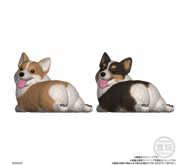 Figura Mocchiri Kororin Dogs surtido