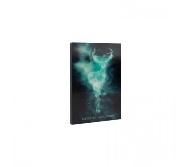 Cuaderno A5 Lenticular Harry Potter