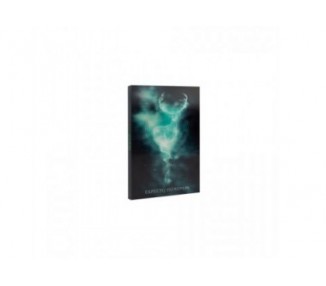 Cuaderno A5 Lenticular Harry Potter