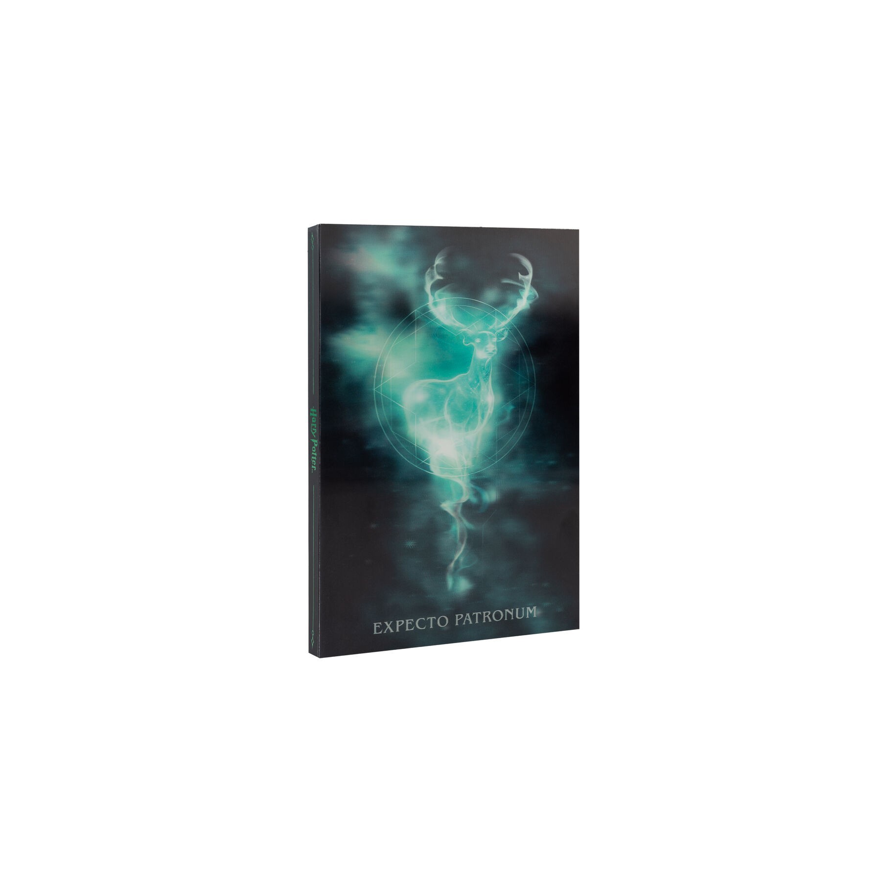 Cuaderno A5 Lenticular Harry Potter