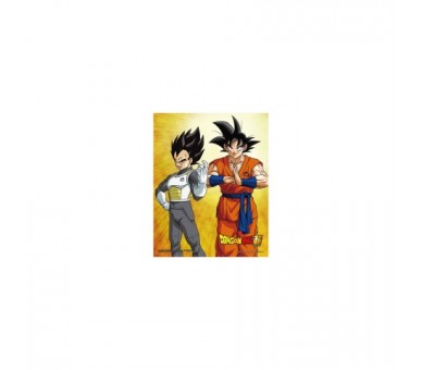 Dragon Ball Super - Pster 3D Goku & Vegeta