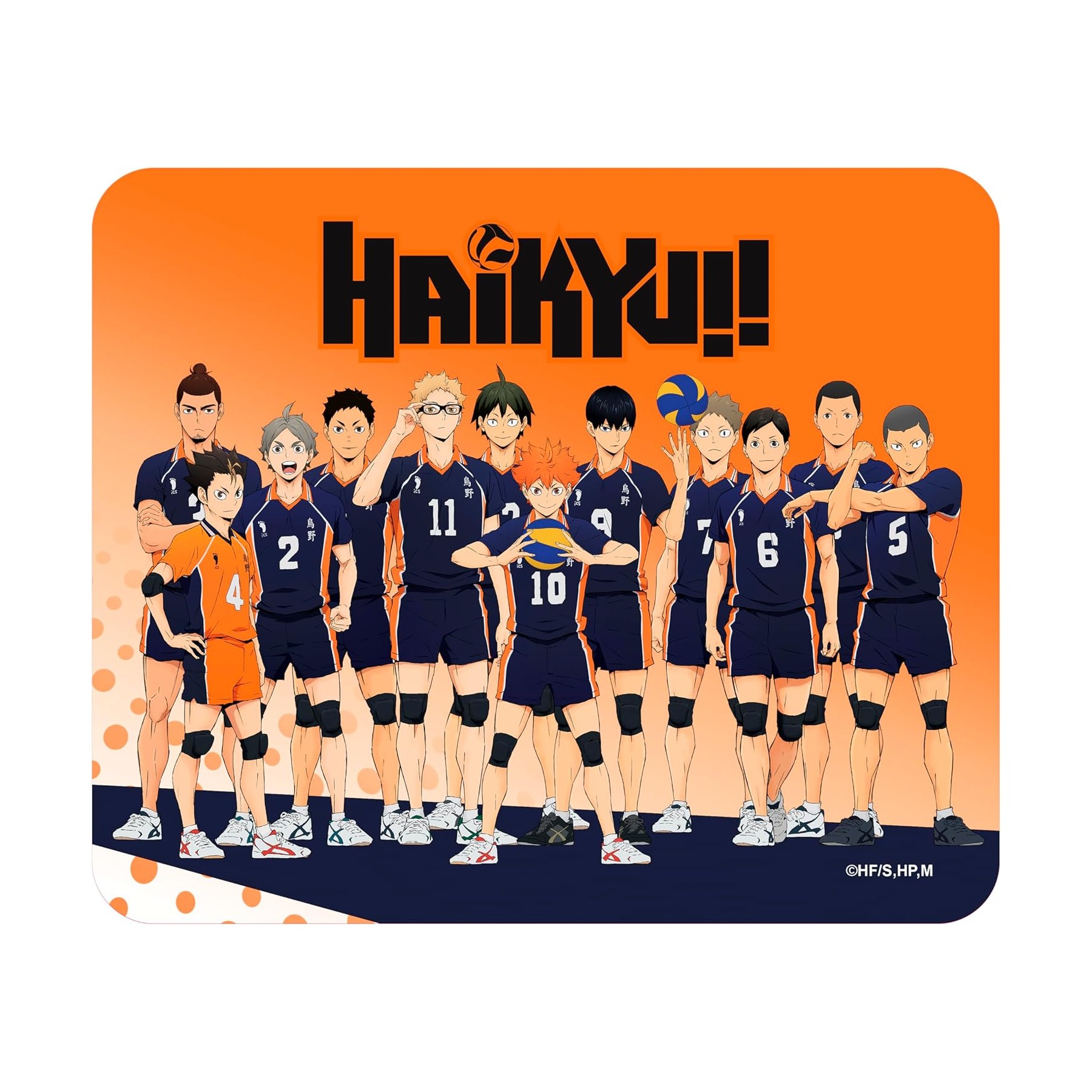 Haikyu Tappetino Mouse: Karasuno Team 24x20cm