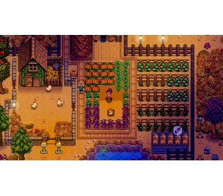 Stardew Valley