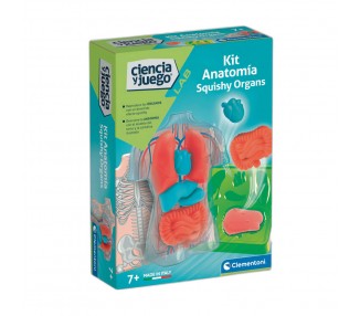 Kit Anatomia Squishy Organs