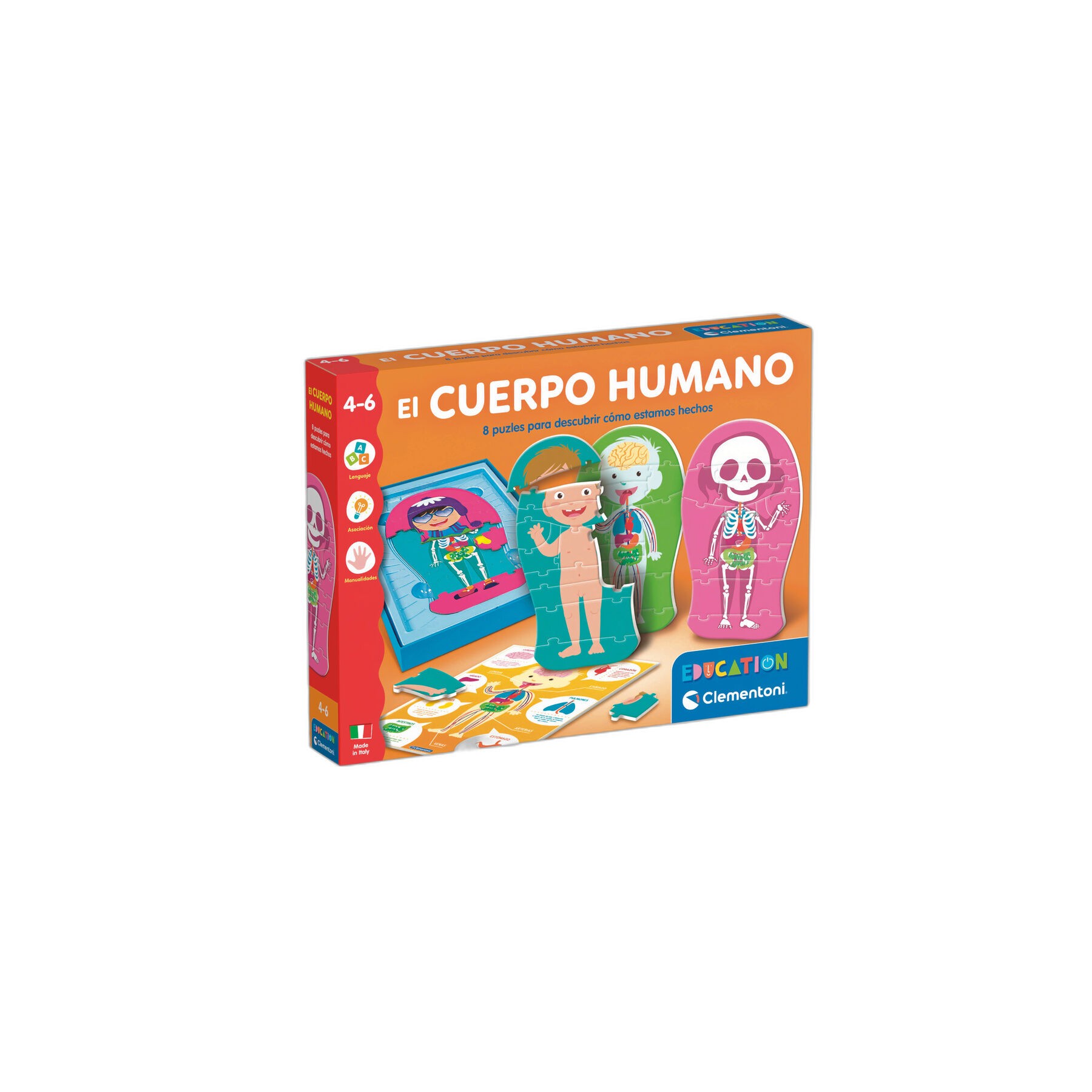 El Cuerpo Humano