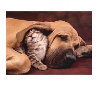 Puzzle Cuddles 500pzs