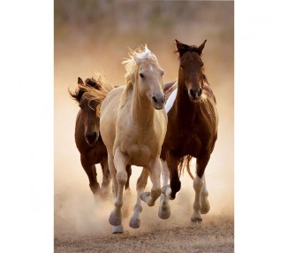 Puzzle Running Horses 1000pzs