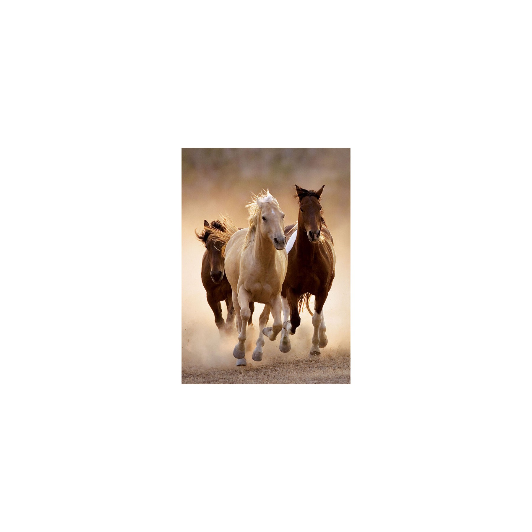 Puzzle Running Horses 1000pzs