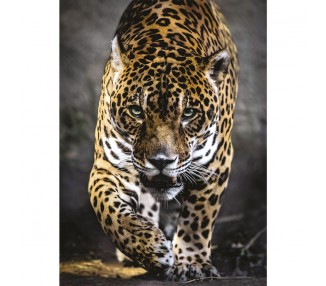 Puzzle Walk of the Jaguar 1000pzs