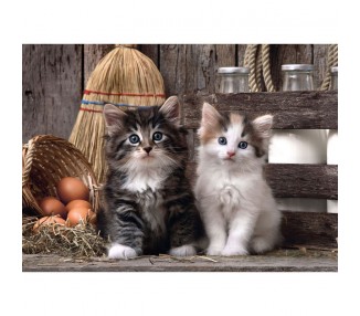 Puzzle Lovely Kittens 1000pzs