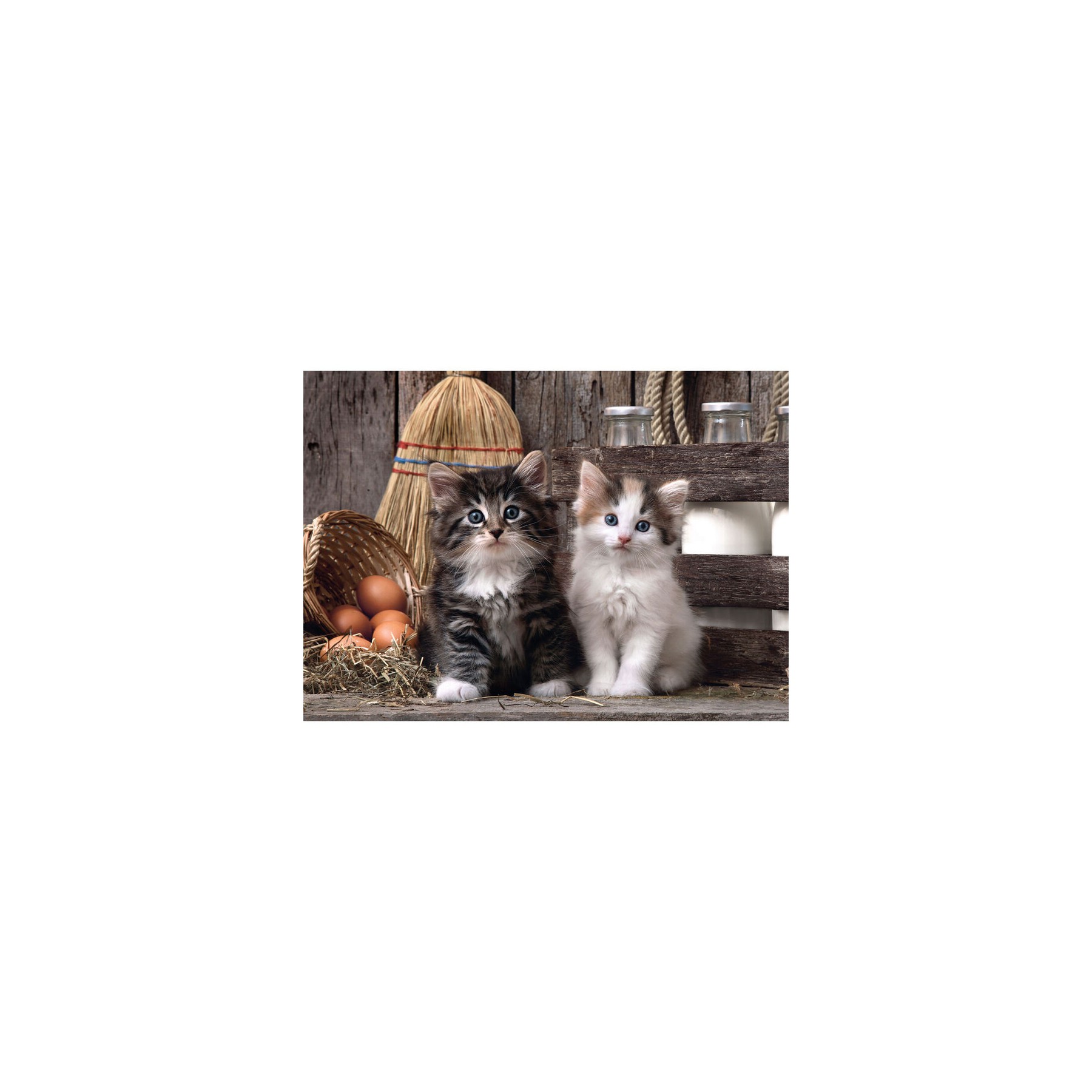 Puzzle Lovely Kittens 1000pzs