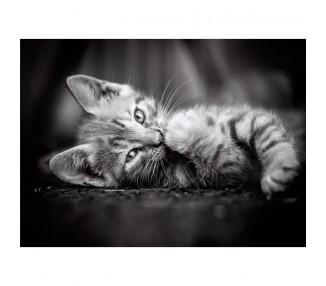 Puzzle Kitty 1000pzs