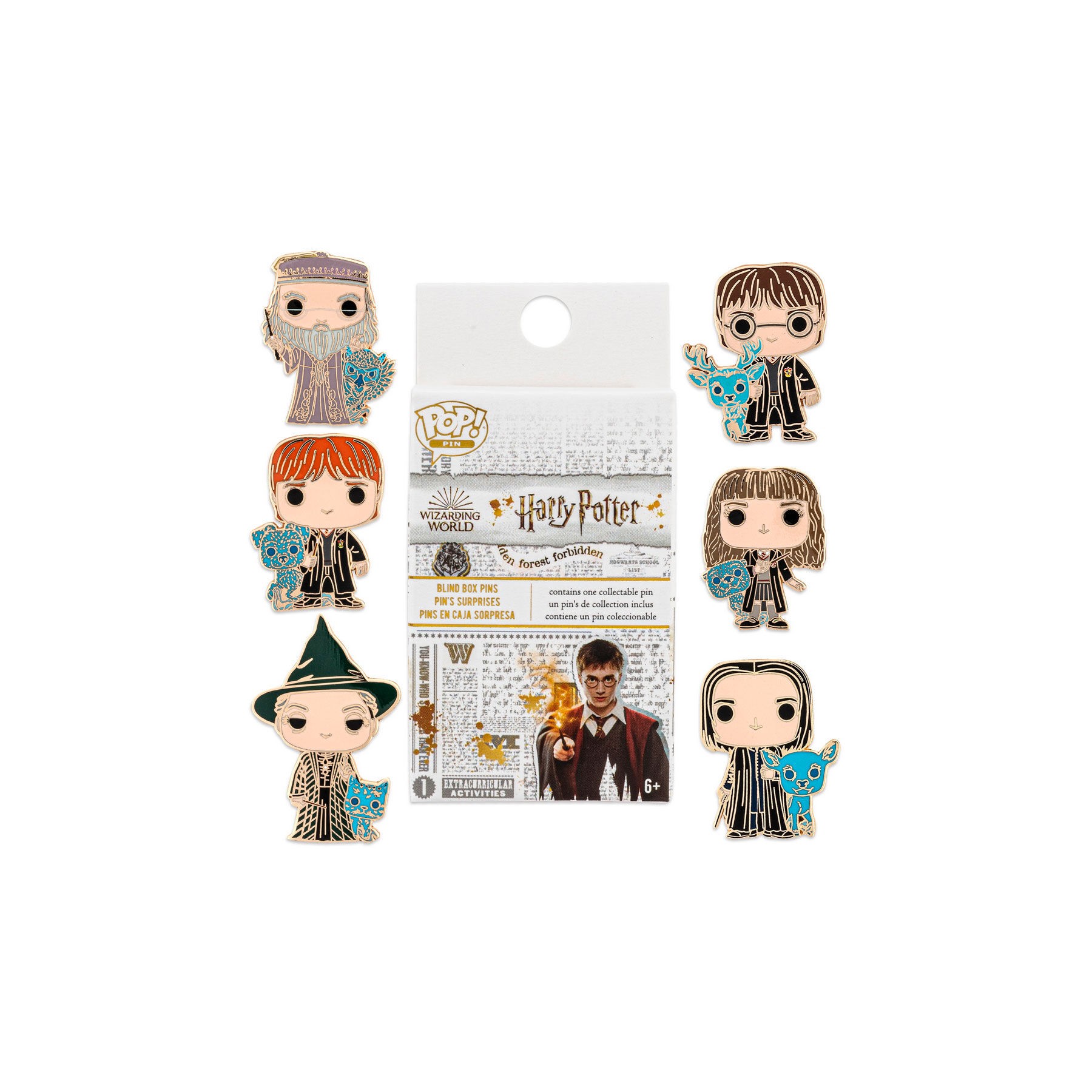 Blind Box Enamel Pin Harry Potter surtido