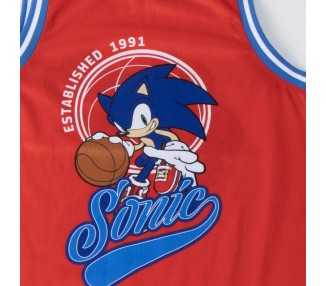 Conjunto Sonic the Hedgehog