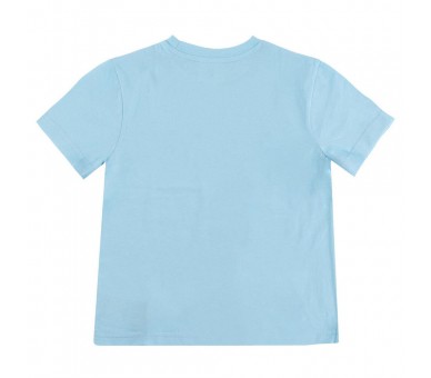 Camiseta Elsa Frozen Disney