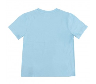 Camiseta Elsa Frozen Disney