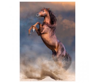 Puzzle Caballo 500pzs