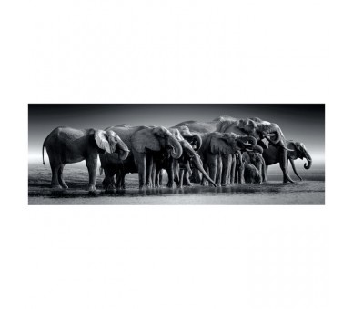 Puzzle Panorama Manada de Gigantes 1000pzs