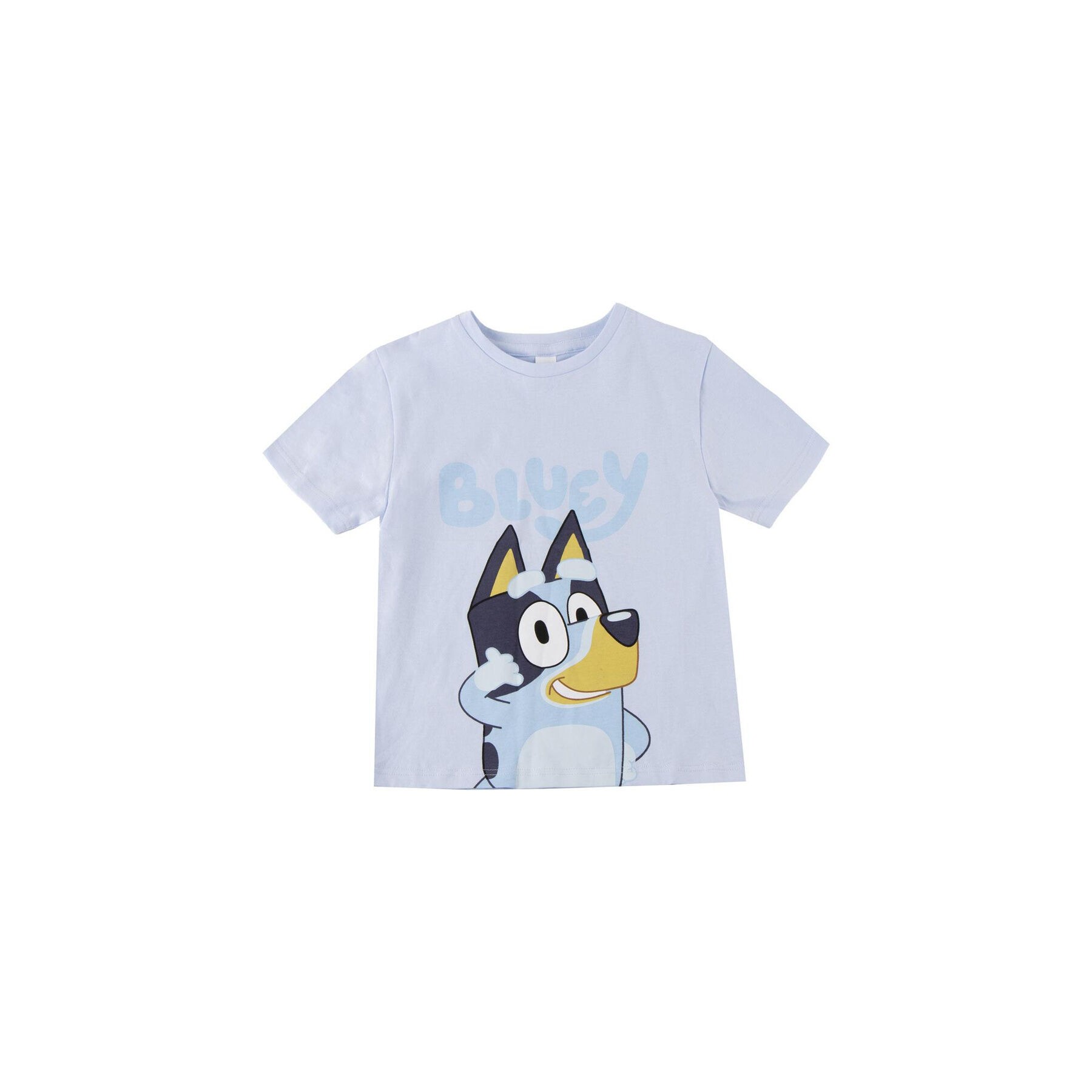 Camiseta Bluey