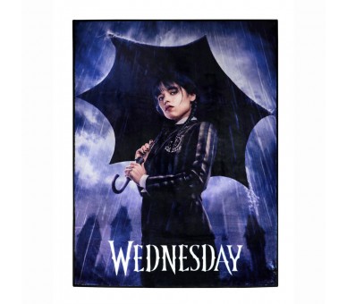 Alfombra interior Miercoles Wednesday