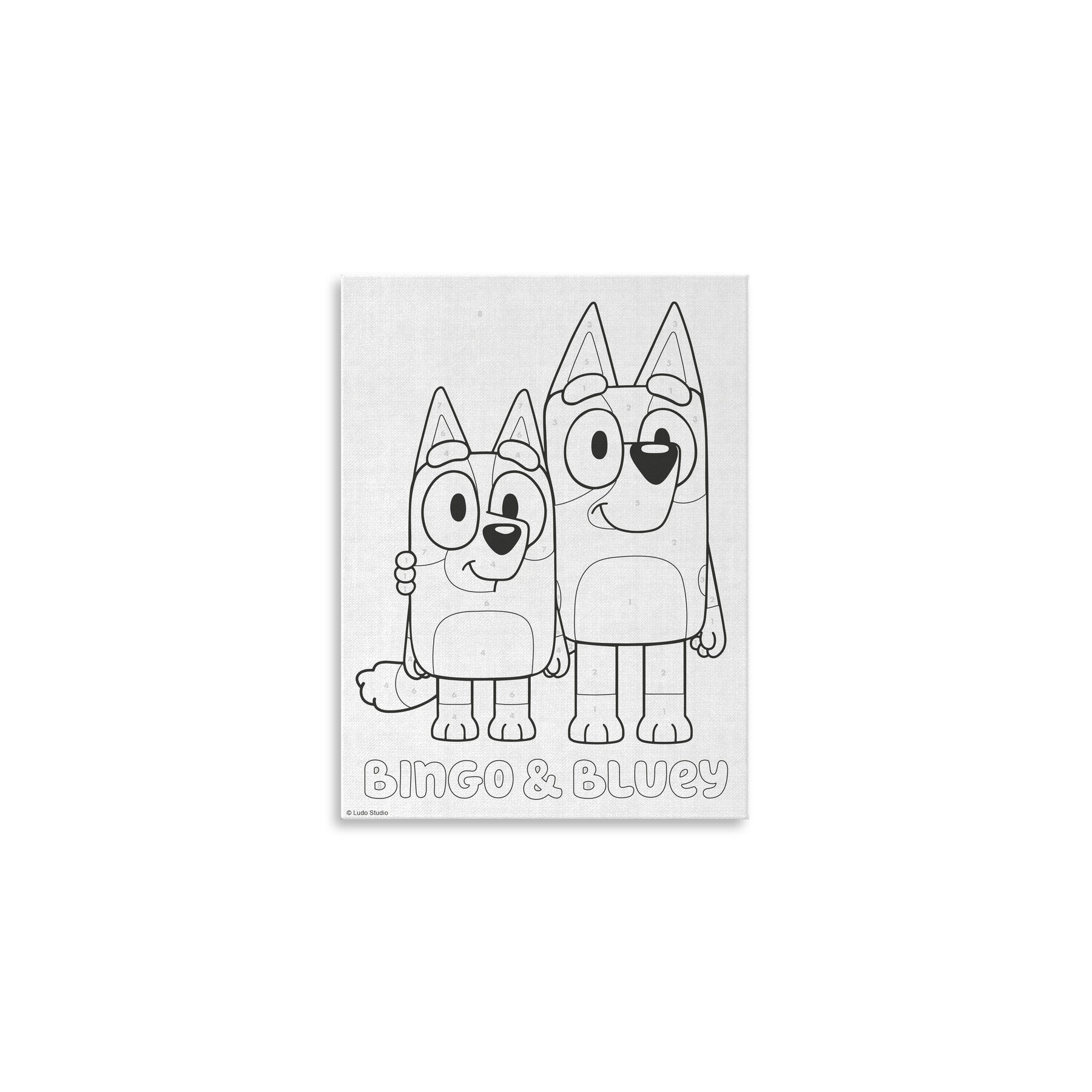 Pinta con numeros en lienzo + acuarelas Bluey