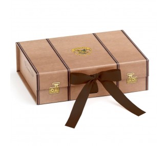 Caja regalo Maleta Harry Potter S