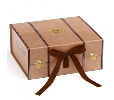 Caja regalo Maleta Harry Potter M
