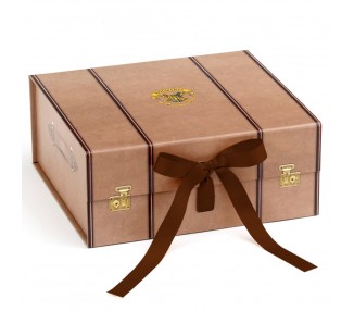 Caja regalo Maleta Harry Potter M