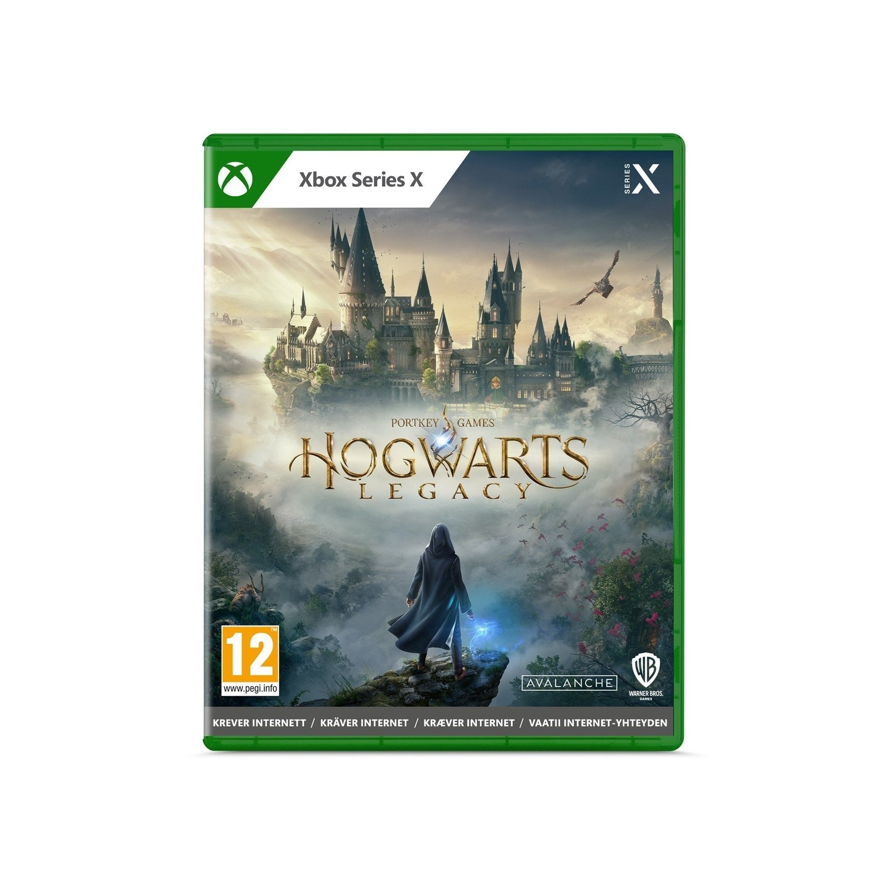 Hogwarts Legacy (Amazon Exclusive)