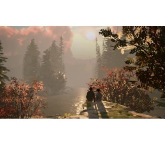 Life is Strange 2 Juego Digital para consola Nintendo Switch