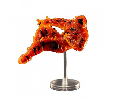 Figura Dhalsim Player 2 Street Fighter II 17cm