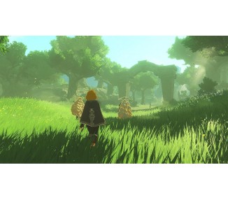 Hyrule Warriors Treasure Box Juego Fisico para Consola Nintendo Switch 2