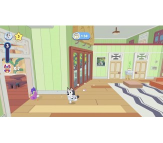 Bluey the Videogame