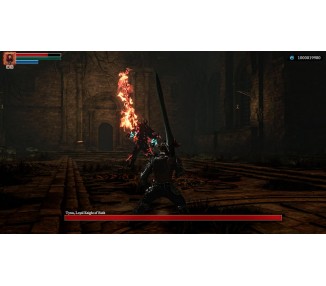 The Bearer and The Last Flame (D1 NG)