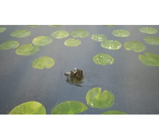 Bramble: The Mountain King Juego para Consola Sony PlayStation 4, PS4, PAL ESPAÑA