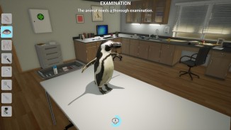 My Vet Practice In The Zoo (Import)