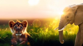 My Vet Practice In The Zoo (Import)