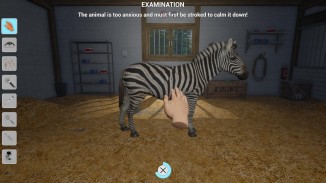My Vet Practice In The Zoo (Import)