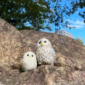 Figura Birds Tenori Friends 6cm surtido