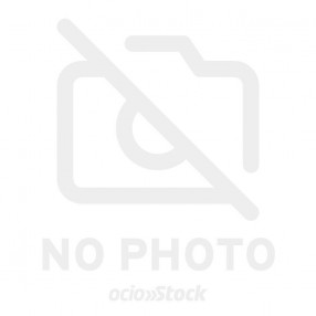 Cuento Trolls Story Dream machine español