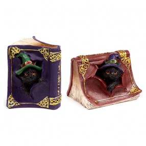 Figura Brujas Gato Negro surtido