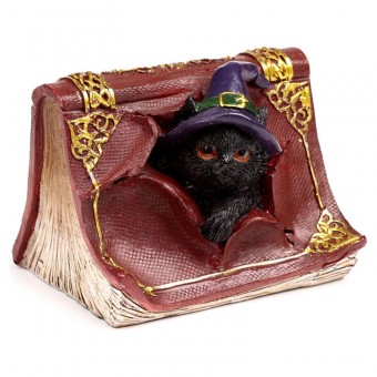 Figura Brujas Gato Negro surtido