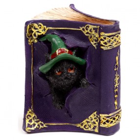 Figura Brujas Gato Negro surtido